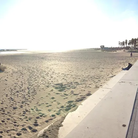 Apartamento à La Plage, Parking Et Animaux Acceptés - Fr-1-338-552 *