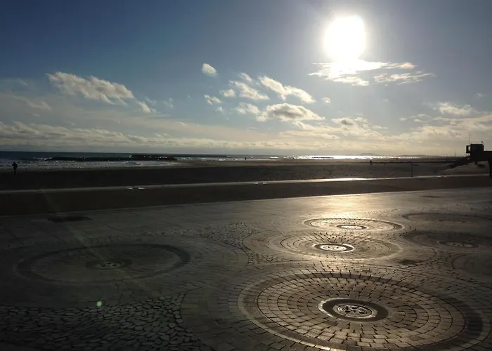 A La Plage, Parking Et Animaux Acceptes - Fr-1-338-552 דירה